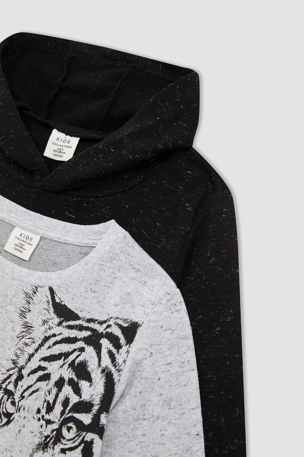 DEFACTO DEFACTO Boy 2 Pack Long Sleeve Tiger Print Sweatshirt