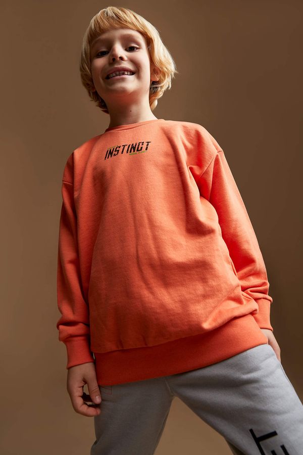 DEFACTO DEFACTO Boy Animal Planet Licensed Relax Fit Crew Neck Thin Sweatshirt Fabric Sweatshirt