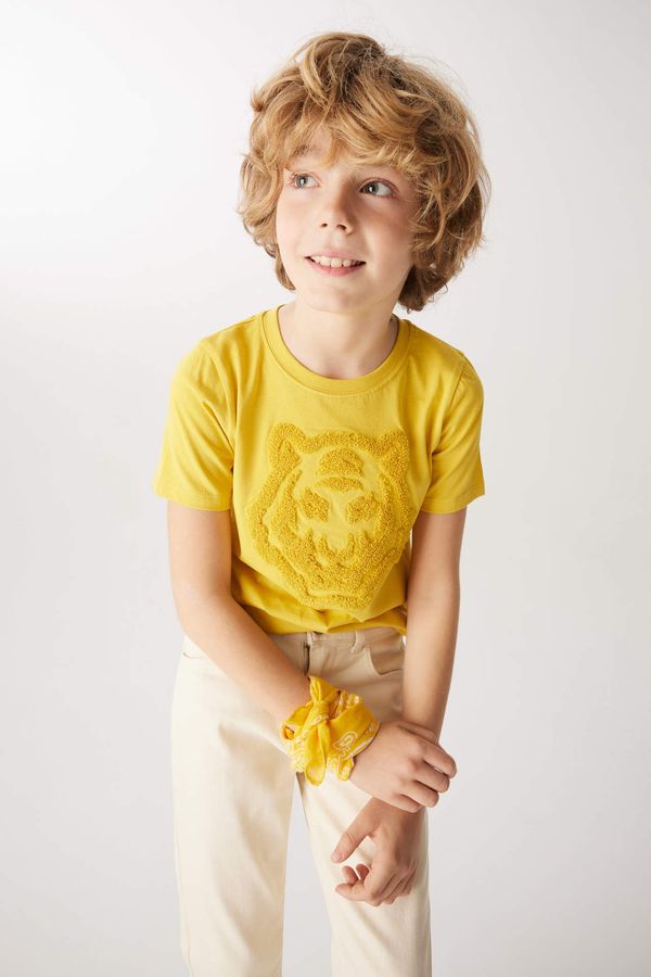 DEFACTO DEFACTO Boy Regular Fit Crew Neck Embroidered Short Sleeve T-Shirt
