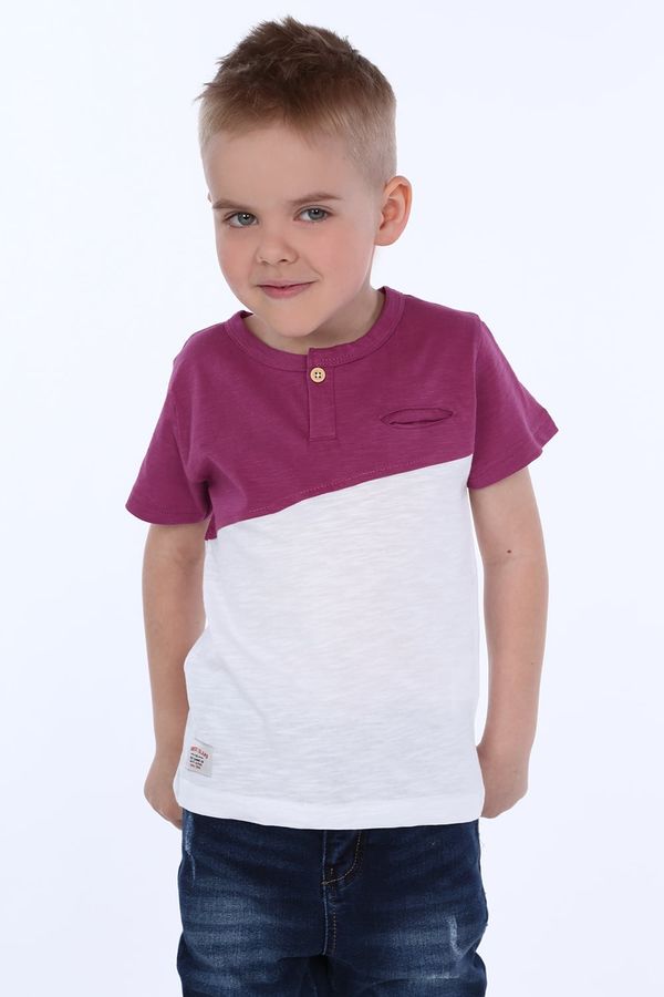 FASARDI Boys' T-shirt with purple and white button