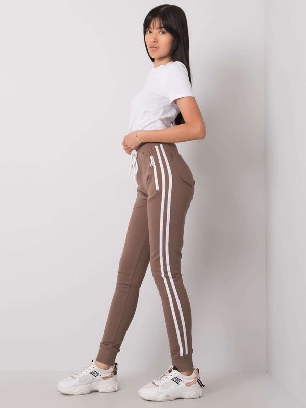 Fashionhunters Dark beige sweatpants with stripes