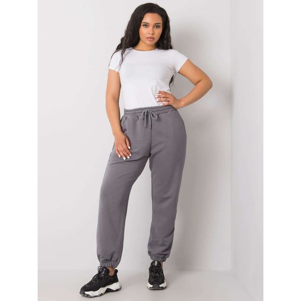 Fashionhunters Dark gray cotton and larger size sweatpants