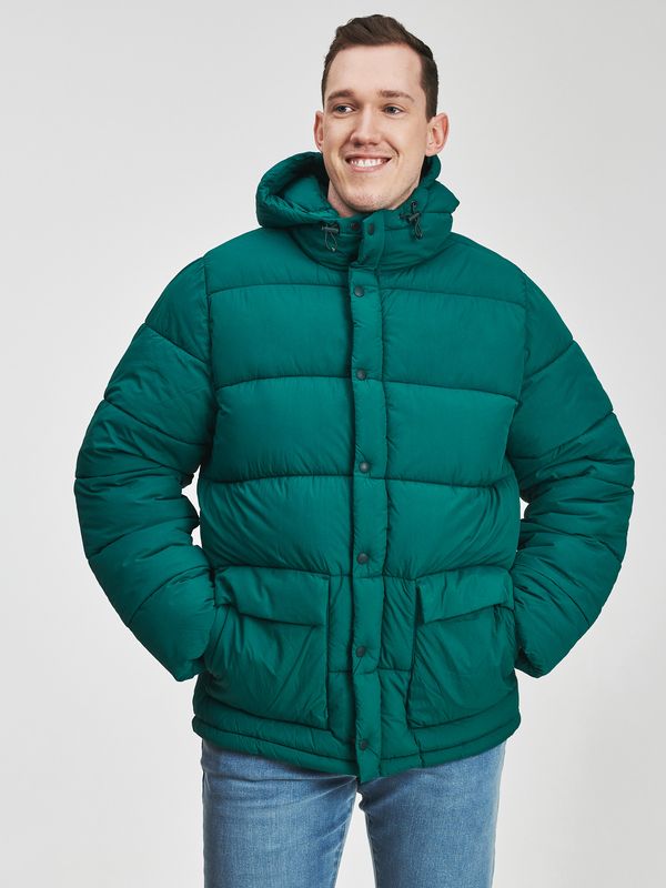 GAP GAP Winter Hooded Jacket - Men