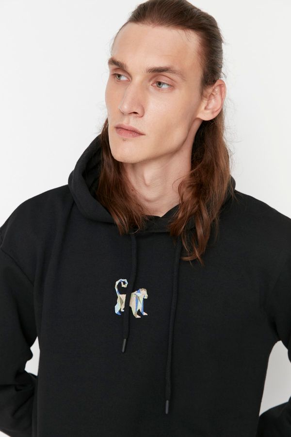 Trendyol Trendyol Black Men's Basic Regular Fit Hooded Sweatshirt with Embroidery Sweatshirt