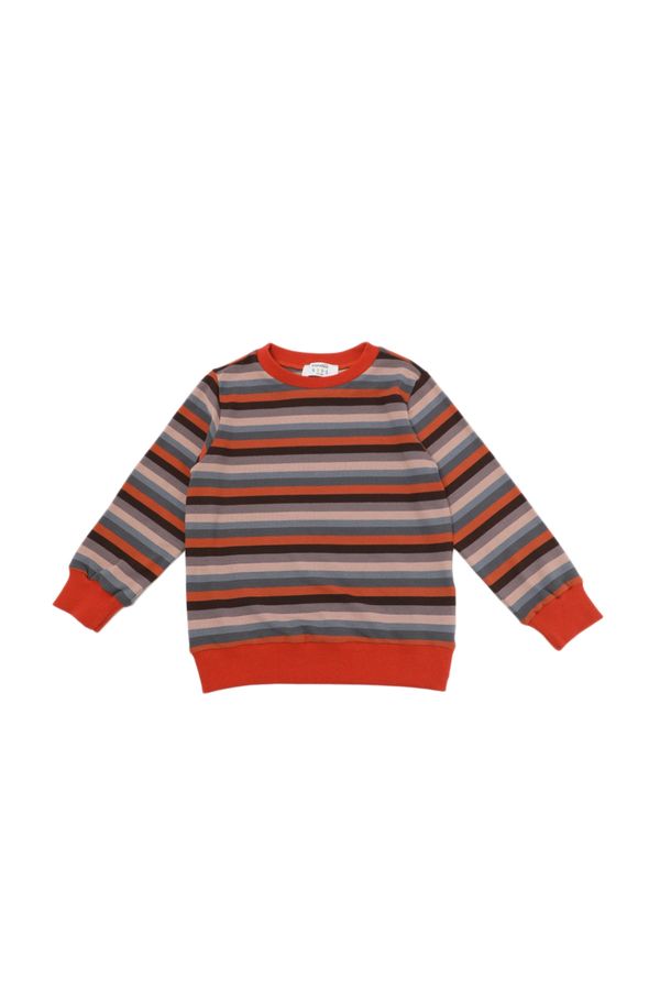 Trendyol Trendyol Claret Red Striped Boy Knitted Slim Sweatshirt