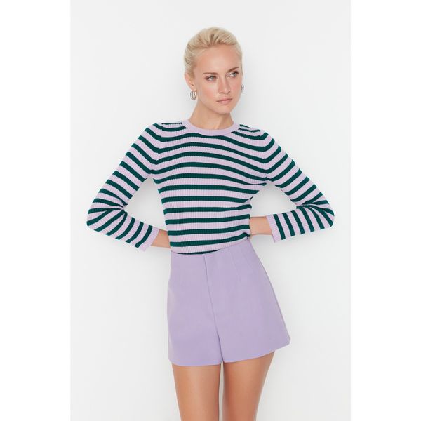 Trendyol Trendyol Lilac Striped Knitwear Sweater