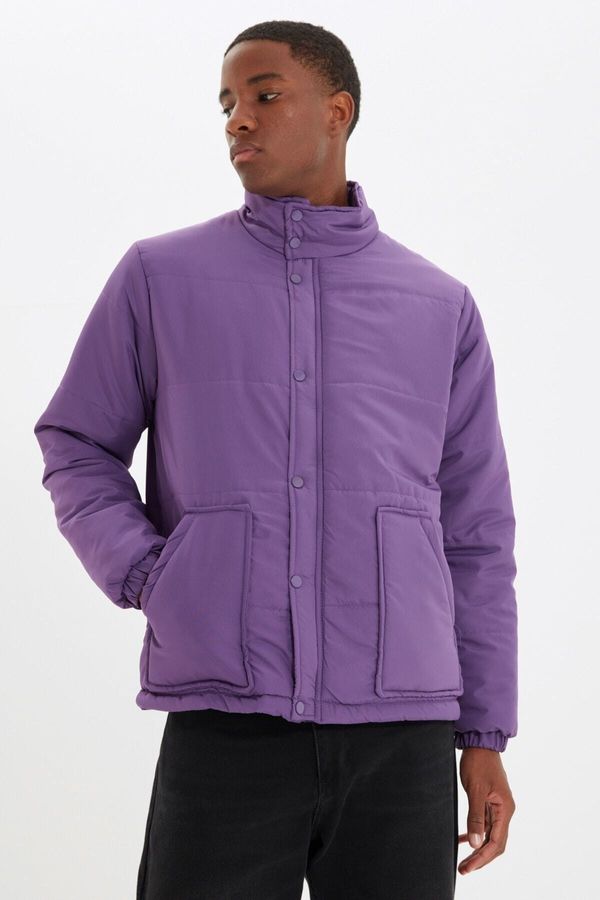 Trendyol Trendyol Winter Jacket - Purple - Basic